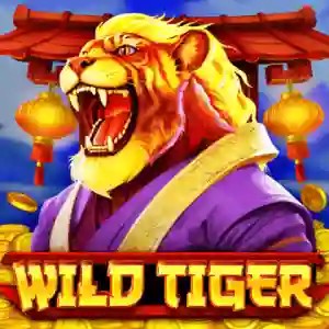 Wild Tiger online slot from BGAMING – play at spin247.fr